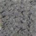 Pewter